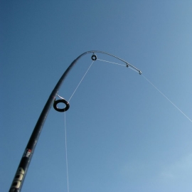 Summer fishing competition 